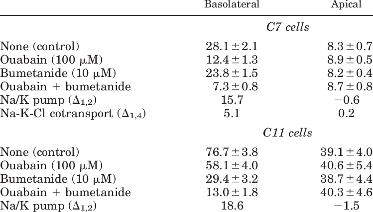Rates Of 86 Rb Influx Across Basolateral And Apical (749x427), Png Download