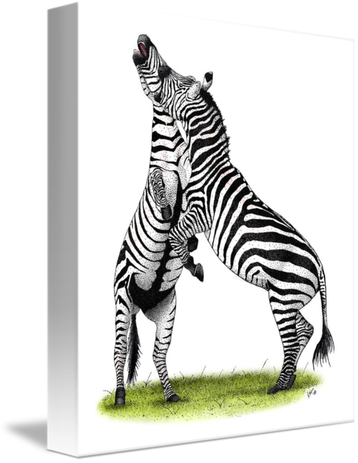 502 X 650 1 - Zebra (502x650), Png Download