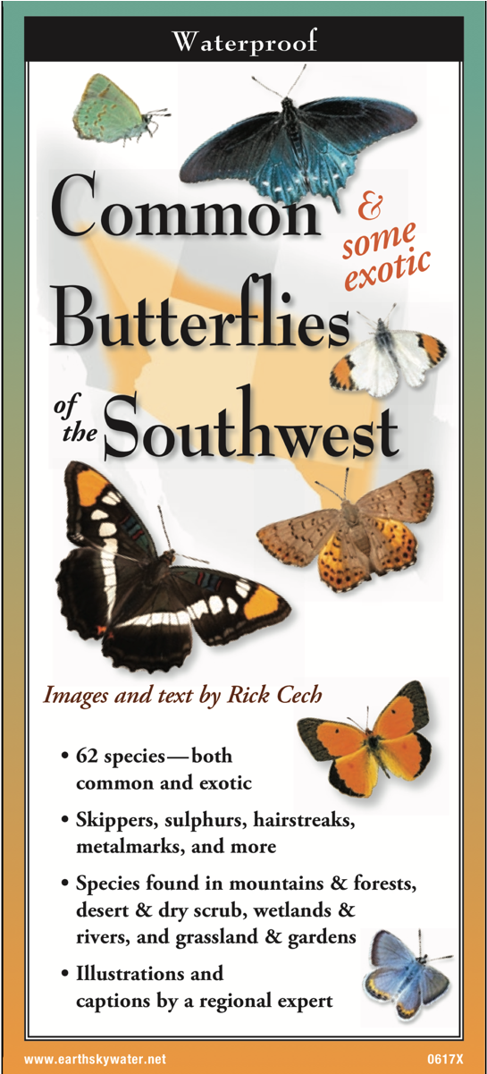 Shopping Cart -  -  (1200x1200), Png Download