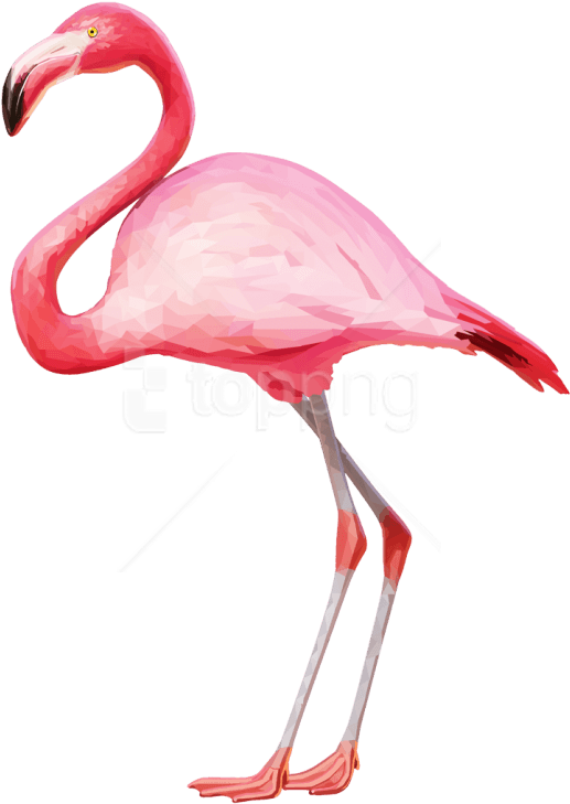 Free Png Download Flamingo Png Images Background Png (850x764), Png Download