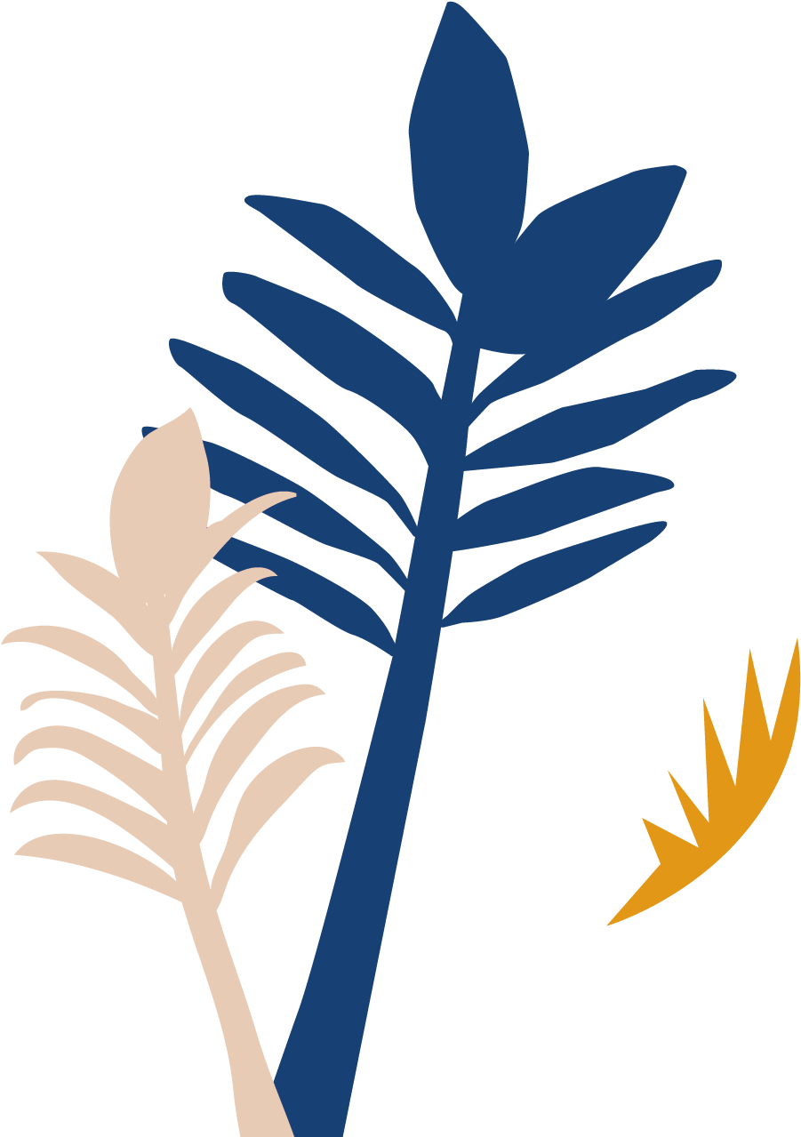 Botanical Name (962x1307), Png Download