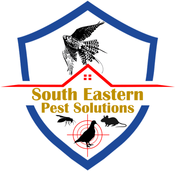 Contact Us - Computers, (640x556), Png Download