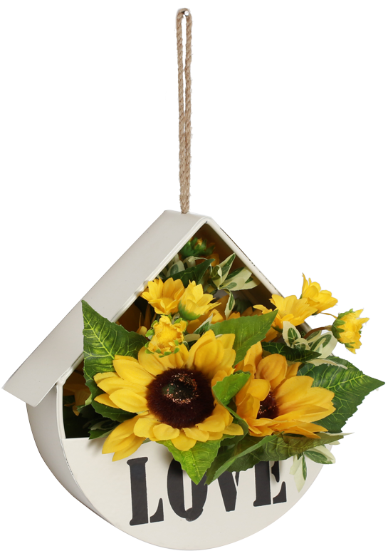 Lightbox Moreview - African Daisy (800x800), Png Download