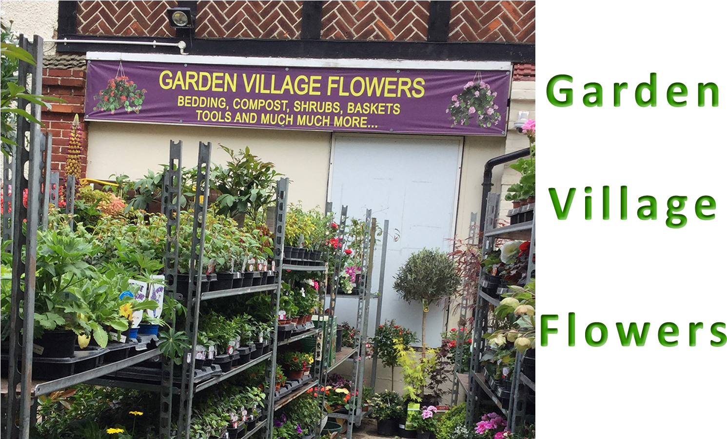 Hatfield Flowers-bedding Plants & Shrubs - Tree (1500x900), Png Download