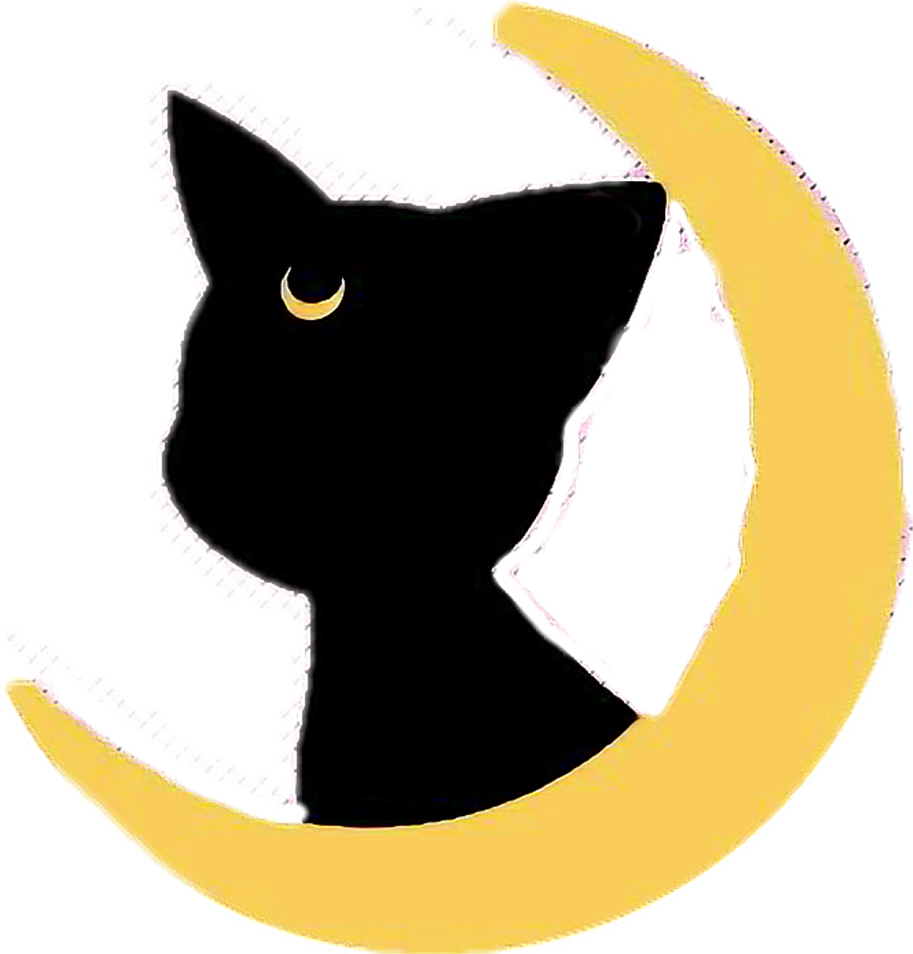 bigotes #gato #cat - Bigotes De Gato Png, Transparent Png , Transparent Png  Image - PNGitem