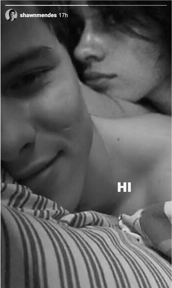 Rn I Wanna Be Camilla For The First Time - Shawn Mendes (858x1318), Png Download