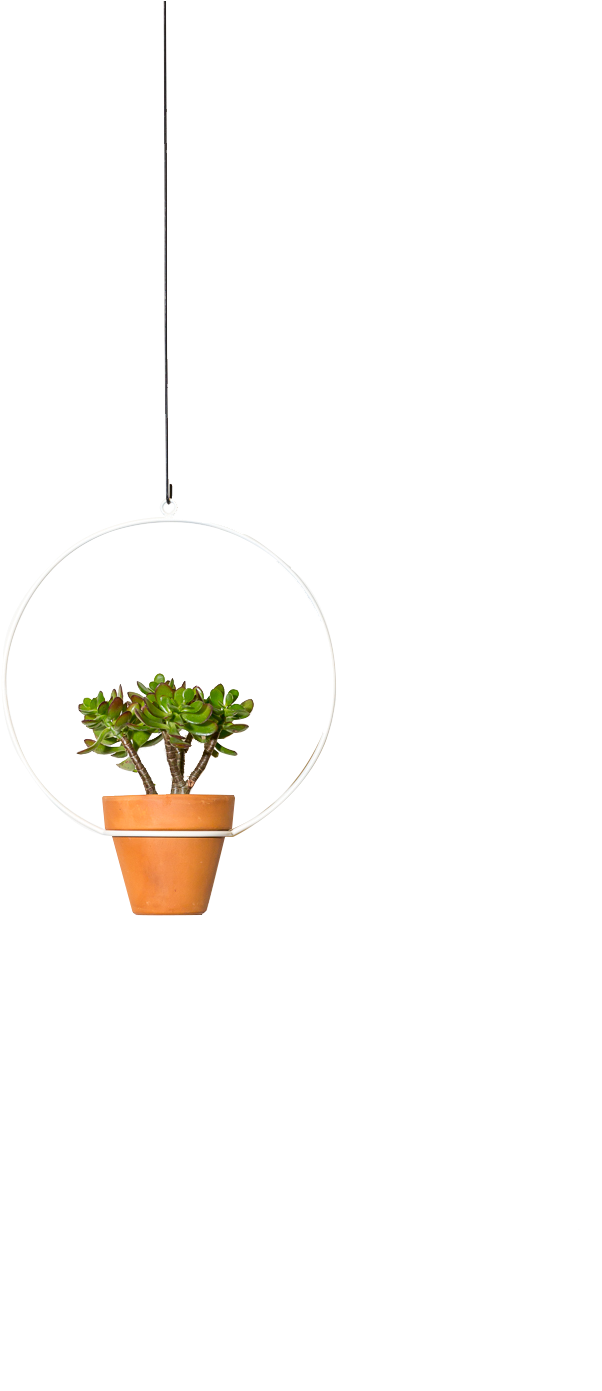 Hanging Circle Planter 10" (933x1400), Png Download