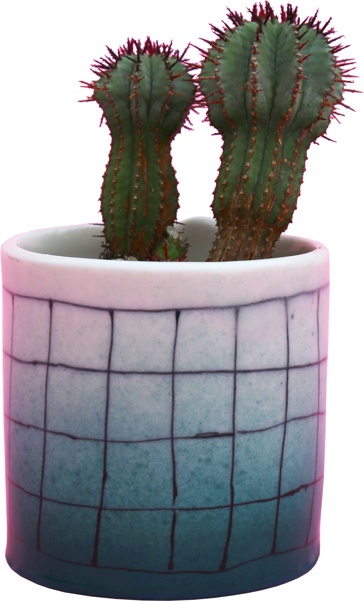 These Porcelain Pots Are Fully Glazed & Hand Built - Flowerpot (3300x2550), Png Download