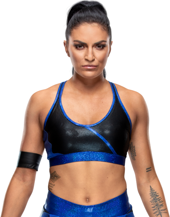 Image - Wwe Women's Tag Team Championship Png (1000x707), Png Download