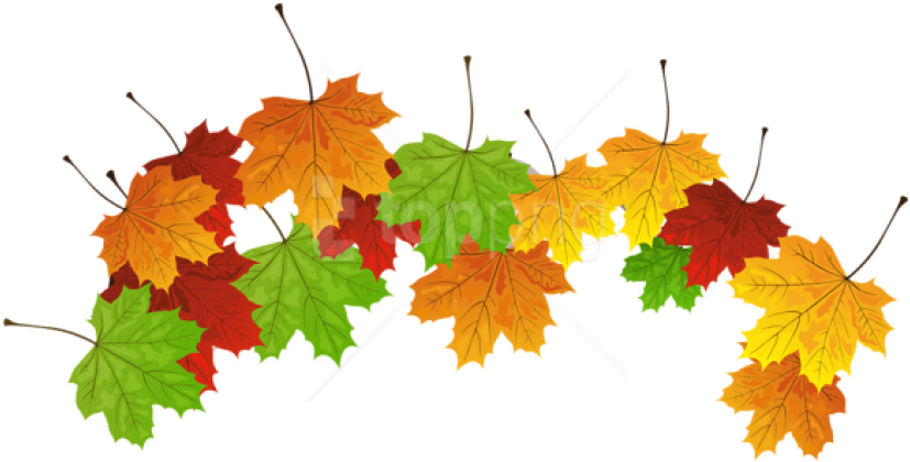 Free Png Download Fall Leaves Clipart Png Photo Png - Leaves Free Clipart (850x430), Png Download