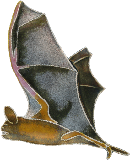 Free Tail Bat Pin Clean Up Copy - Vampire Bat (733x711), Png Download