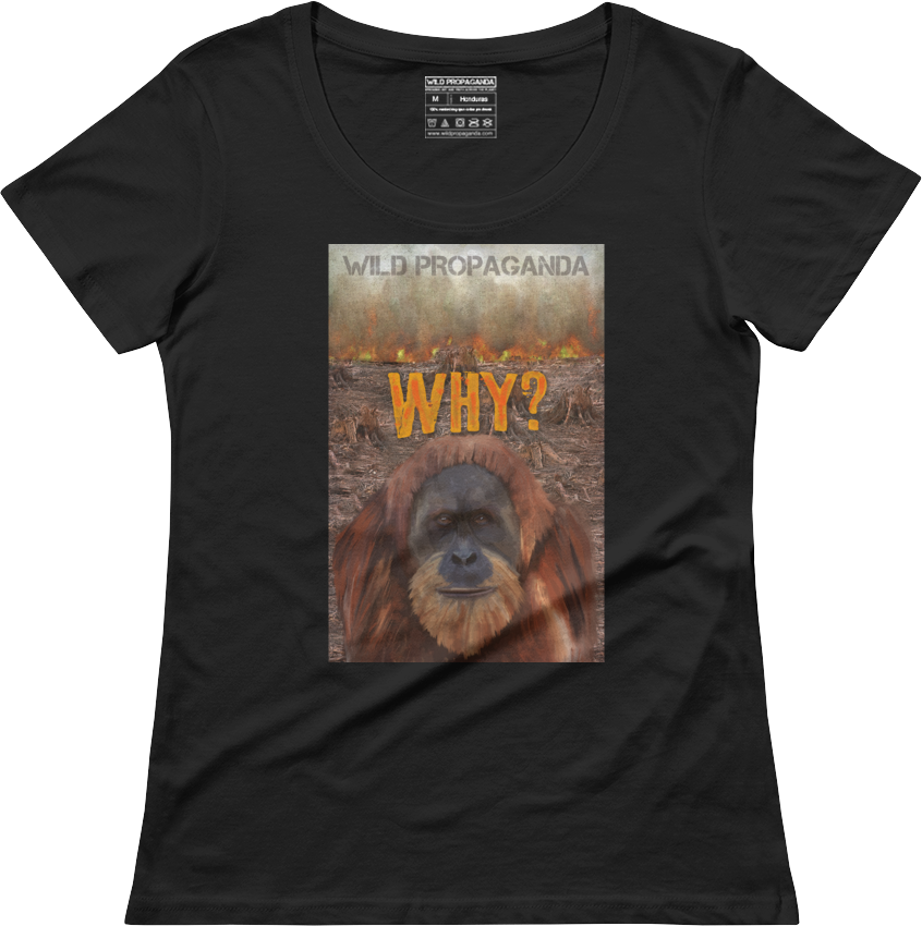 Punxsutawney Phil (846x850), Png Download