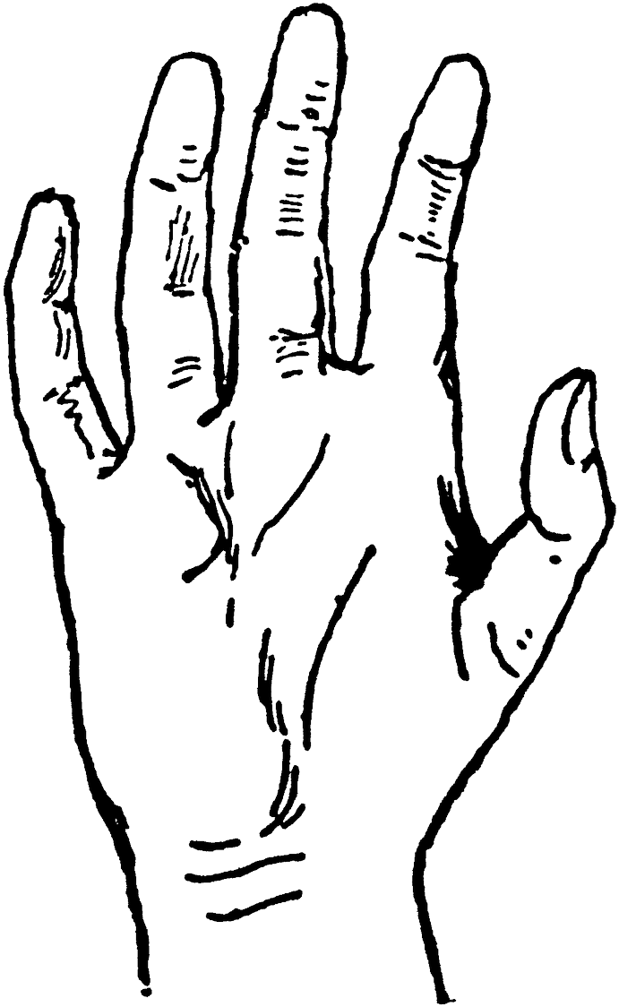 Carolyn Iott On Twitter - Drawing (779x1200), Png Download