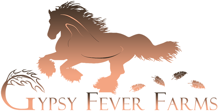 Gypsy Vanner Horse Breeders Gypsy Fever Farms - Mane (907x492), Png Download