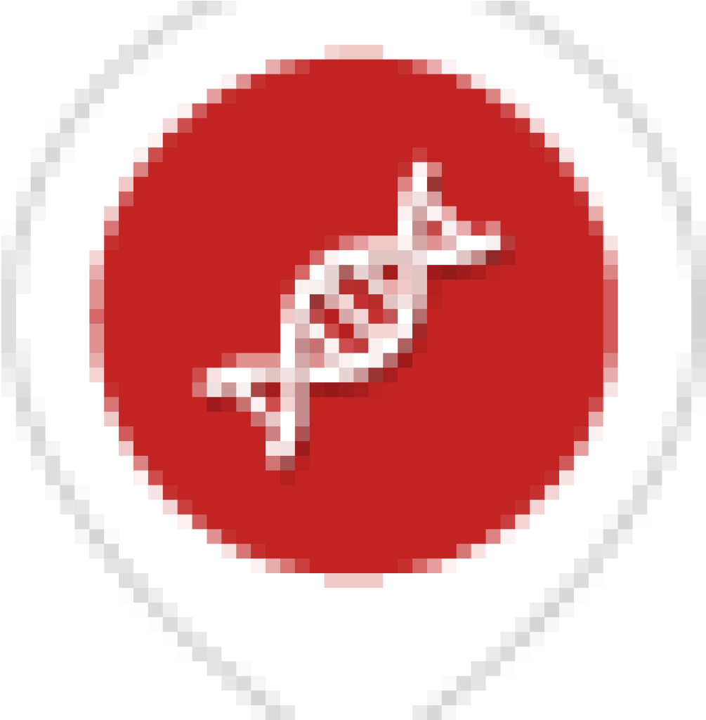 Dna-helix - Animated (1024x1024), Png Download