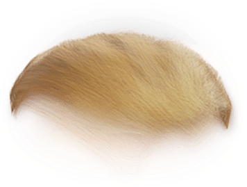 Blond (1000x750), Png Download