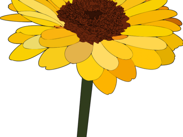 Sunflower Clipart Png - Sunflower Cartoon (640x480), Png Download
