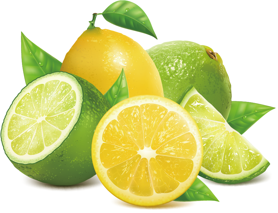 Lemon Key Lime - Lime Vector Png (908x696), Png Download