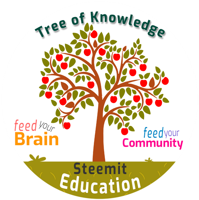 Unknown - Apple Tree Vector Png (640x643), Png Download