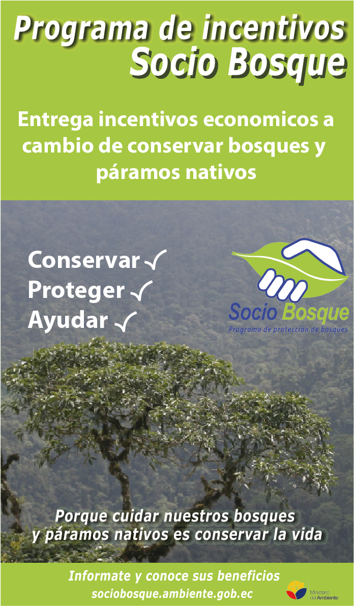 Sin Título-1 - Flyer (1312x1266), Png Download