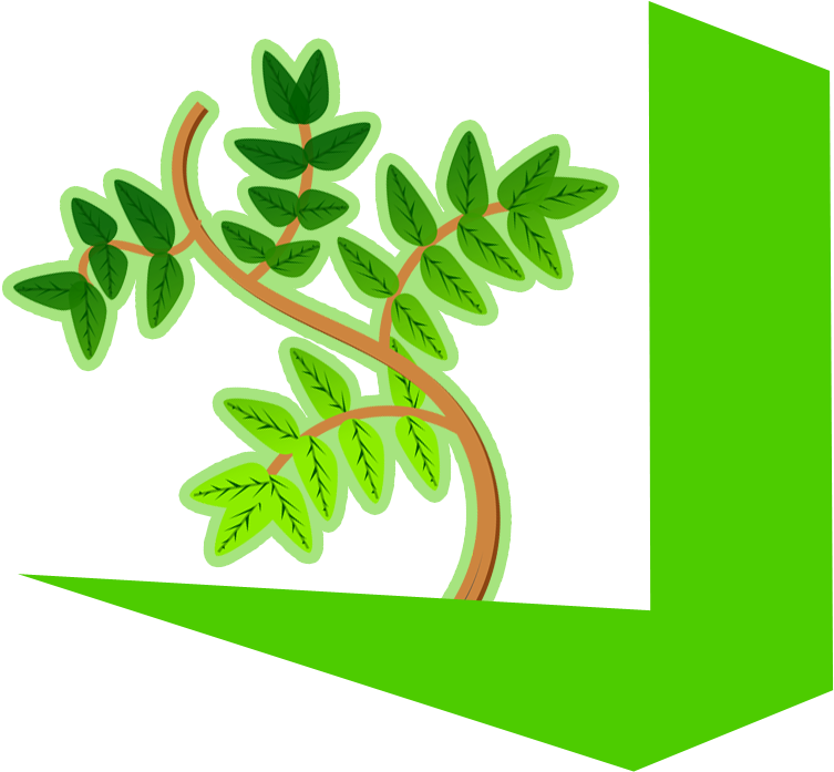 Vscodum-logo - Illustration (1024x1024), Png Download