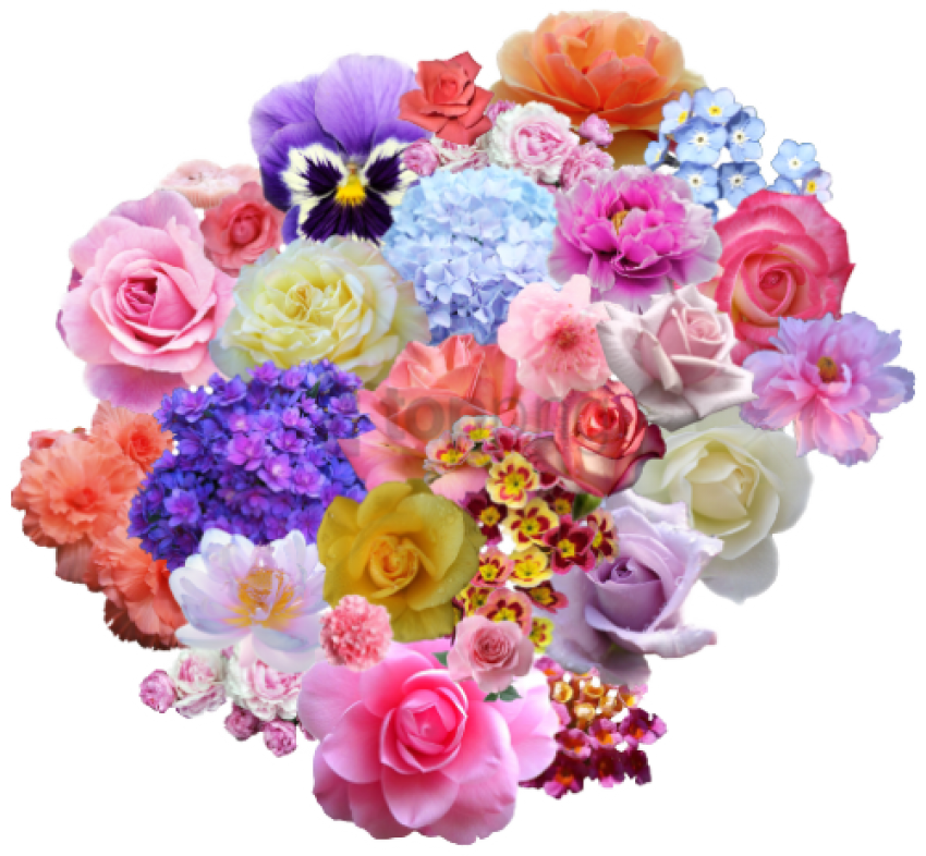 Free Png Download Tumblr Flowers Transparent Png Images - Rose (850x786), Png Download