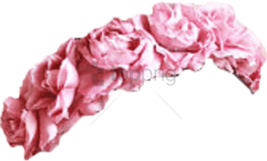 Free Png Tumblr Transparent Flower Crown Png Image - Garden Roses (850x536), Png Download
