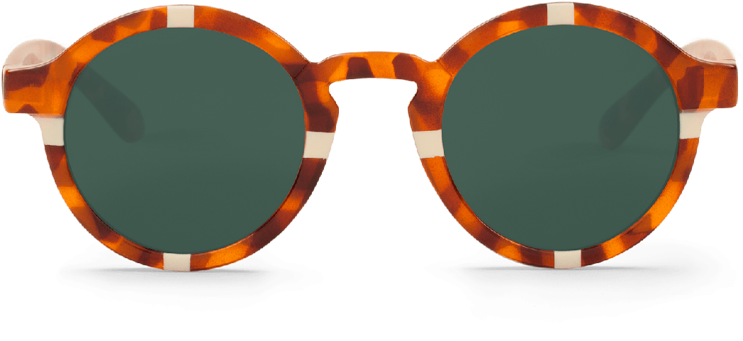 Cross Cream/leo Tortoise - Reflection (1240x900), Png Download