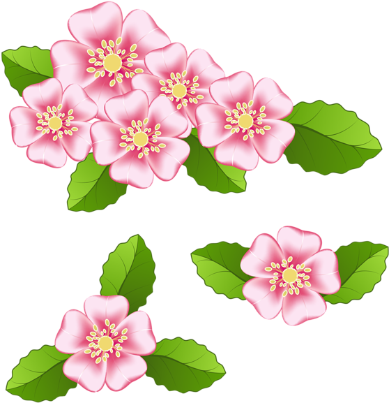 Pink Flowers Transparent Png Clip Art Image - Flower Transparent File (585x600), Png Download