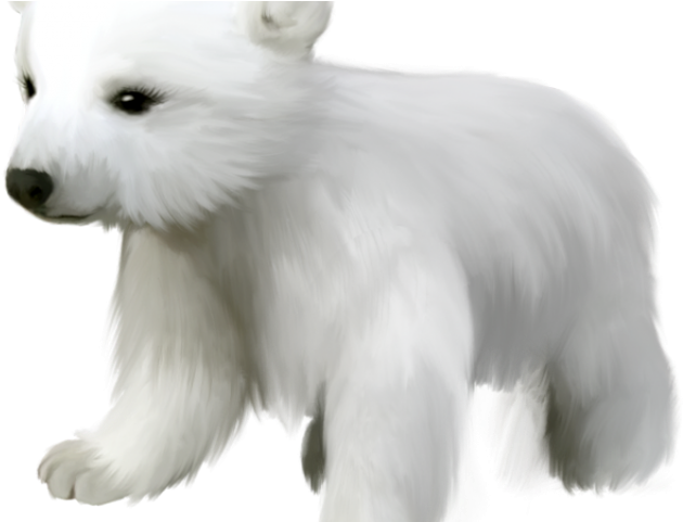 Polar Clipart Cub - Arctic Animals No Background (640x480), Png Download