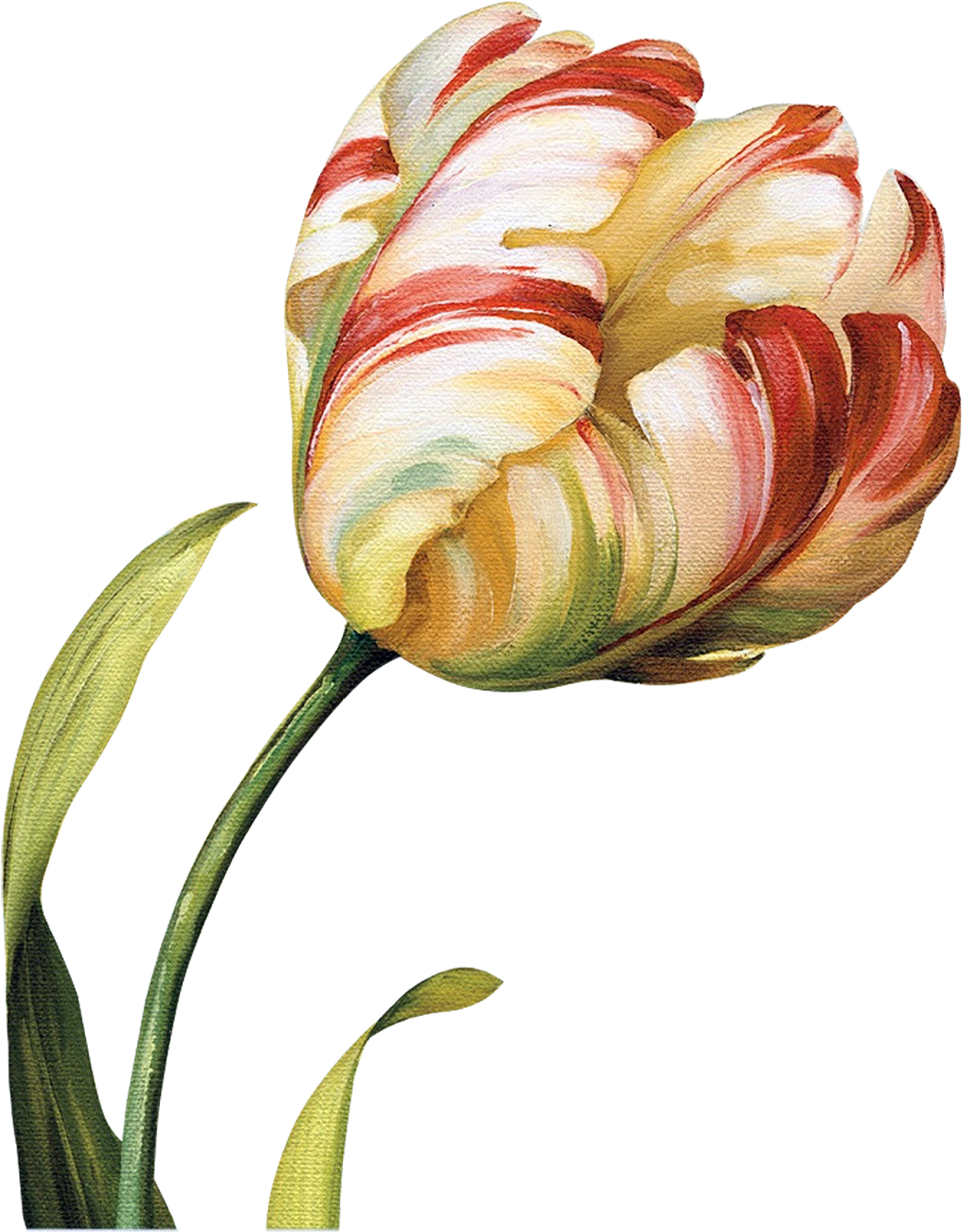 Tulips Flowers, Abstract Flowers, Flower Art, Botanical - Золотой Тюльпан (1289x1600), Png Download