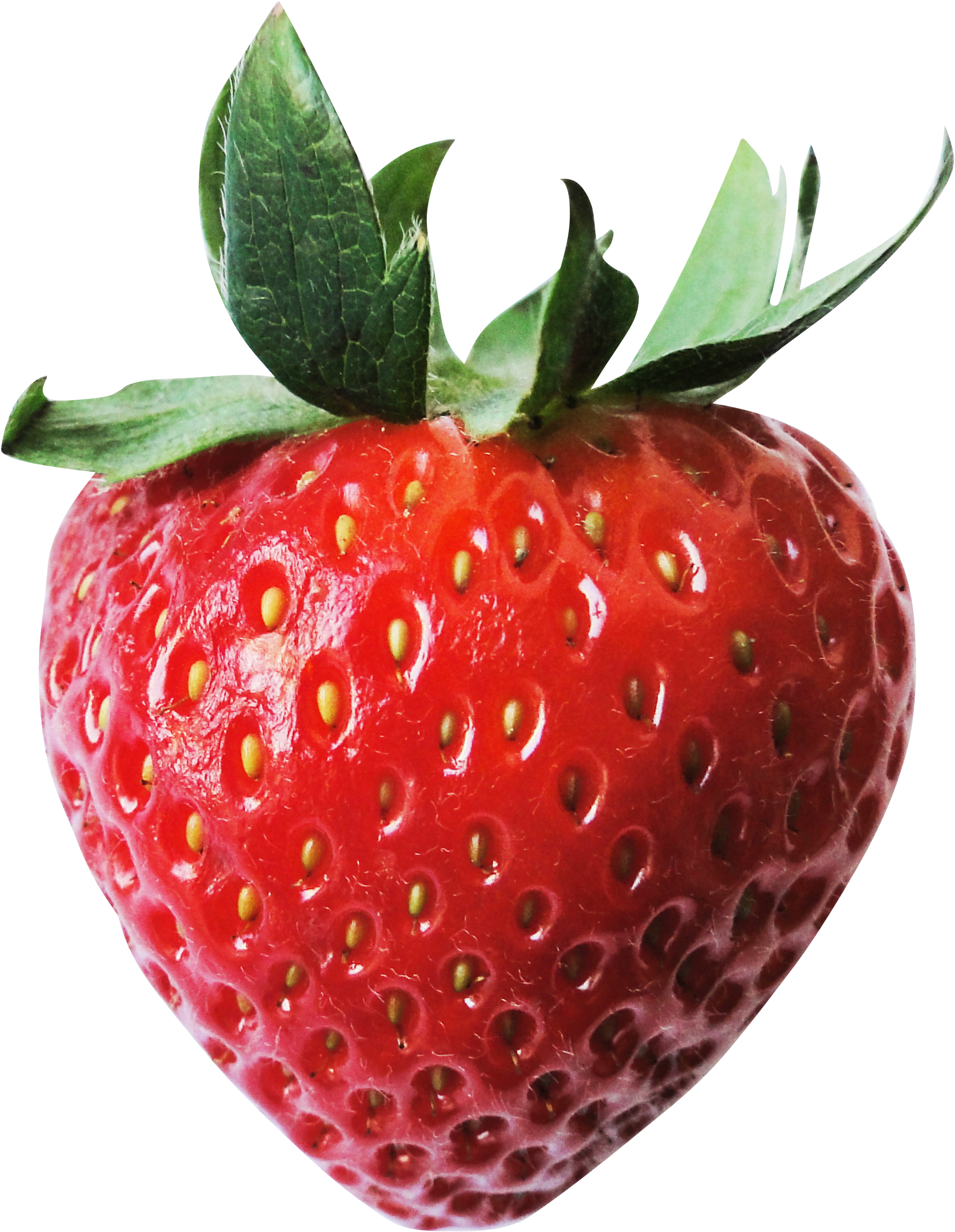 Red Juicy Strawberry - Strawberry (2359x2935), Png Download
