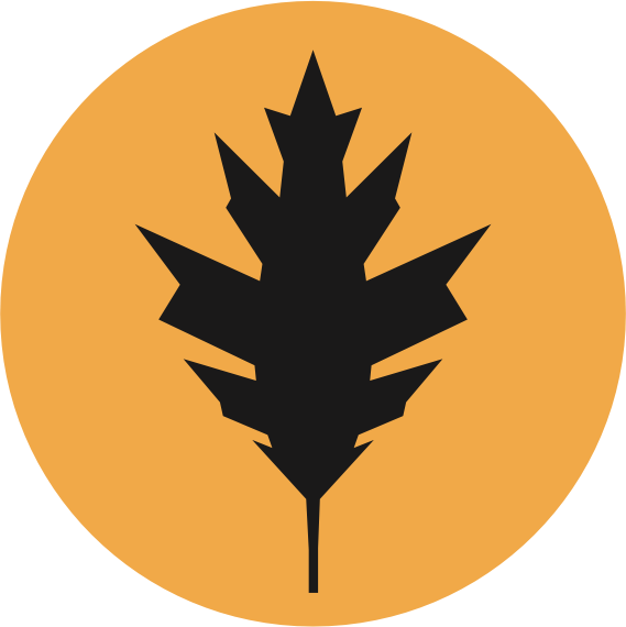 Victorops Logo (569x570), Png Download