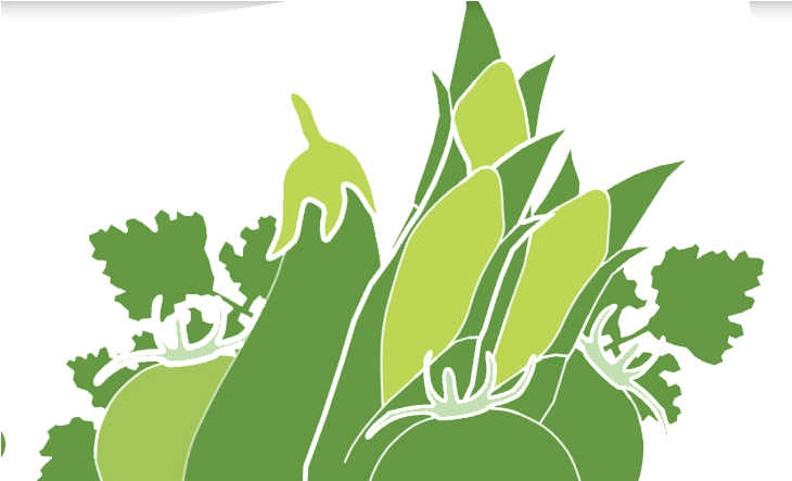 Check Here - Illustration (745x454), Png Download