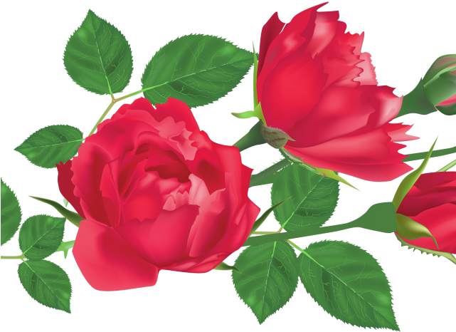 Red Rose Clipart Leaf Png - Png Rose Leaf (640x480), Png Download