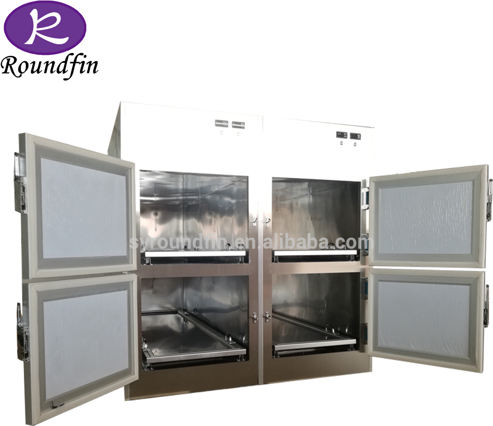 Mortuary Corpse Refrigerator Cabinet Morgue Freezers - Shelf (1000x1000), Png Download