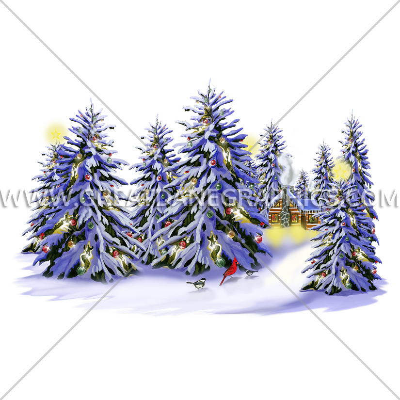 Christmas Snow Trees - Christmas Tree (825x825), Png Download