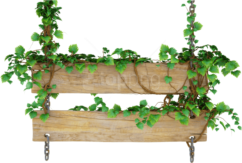 Free Png Wood Png Png Images Transparent - Wooden Sign With Vines (850x567), Png Download