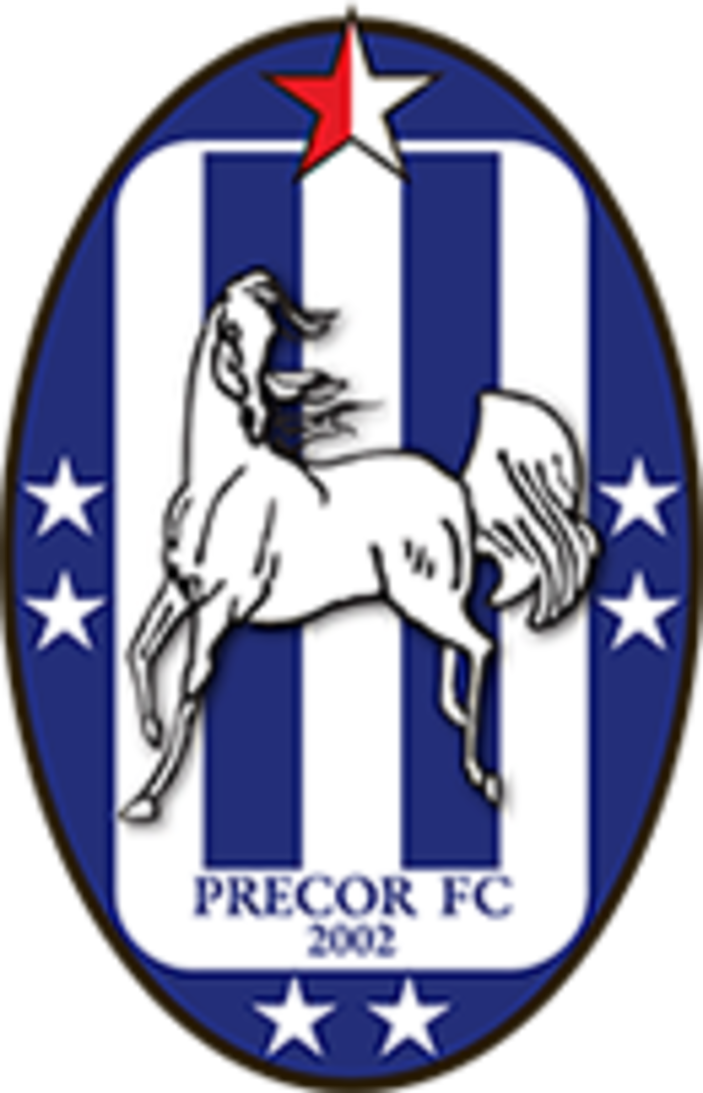 Hidubai Business Precor Fc B2b Services Holding Companies - Rd Congo (1440x2238), Png Download