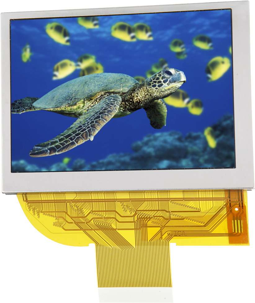 128 X 64 Yellow Graphic Mono Oled - Green Sea Turtle Community (1163x1002), Png Download