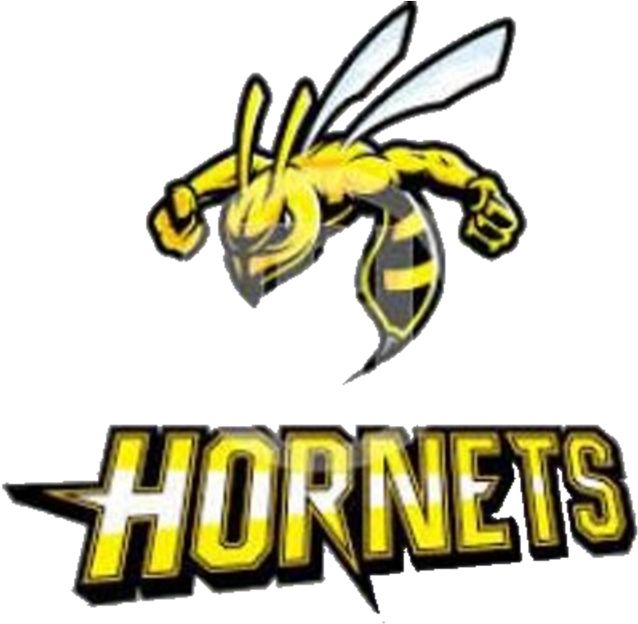 The Surrattsville Hornets Vs - Clarksville Generals Logo (720x720), Png Download