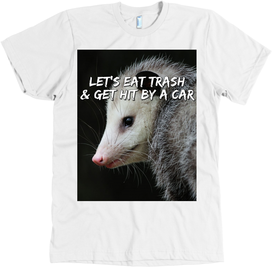 Lgfuapd Opossum - Common Opossum (1024x1024), Png Download