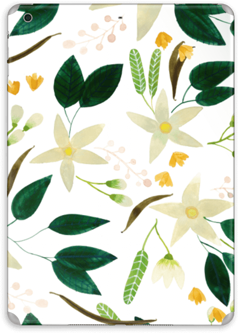 Vanilla Skin Ipad Air - Jasmine (573x800), Png Download