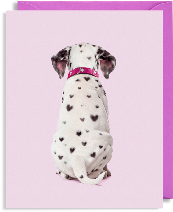 Dalmatian Dog (956x1024), Png Download