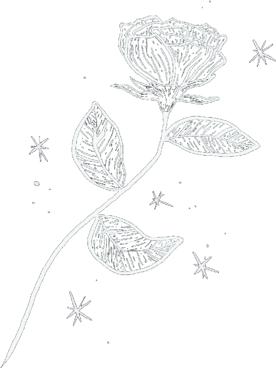 Rose Rosedrawing Handdrswibg Tumblr Tumblrrise Tumblrdoodle - Drawing (2896x2896), Png Download