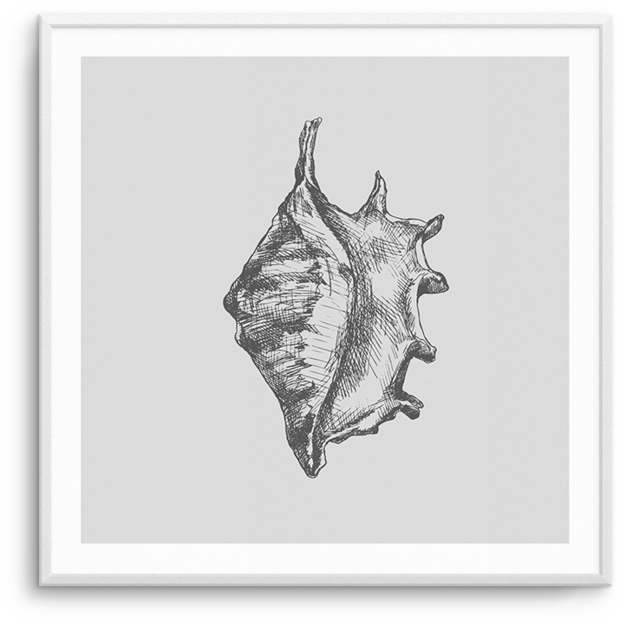 Conch Sq - Conch (812x1023), Png Download