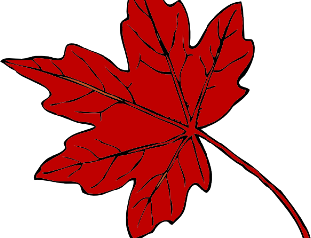 Maple Leaf Clipart Red Leaf - Thanksgiving Leaf Clip Art (640x480), Png Download