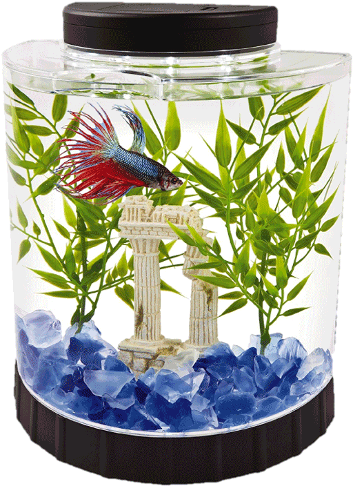 Tetra 2 Gallon Fish Tank - Betta Fish Tank (720x720), Png Download