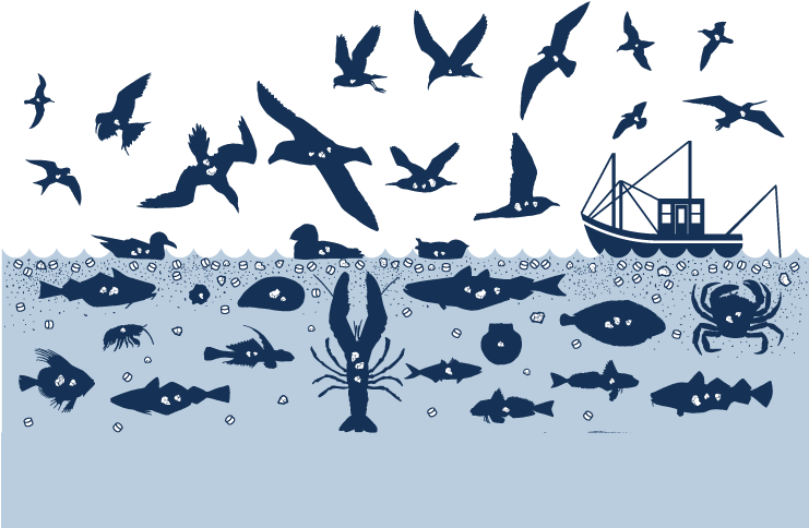 Eaten-by - Plastic Entering The Food Chain (740x500), Png Download