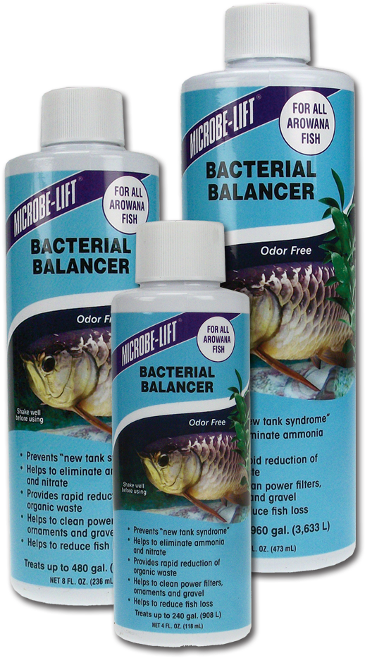 Home/home Aquarium/arowana Products/bacterial Balancer - Insect (600x983), Png Download
